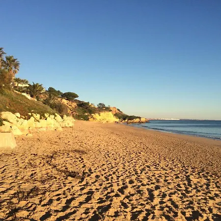 Bicos T By Check-in Portugal Apartment