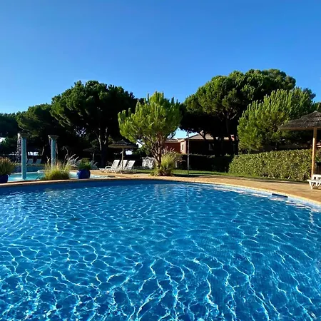 Bicos T By Check-in Portugal