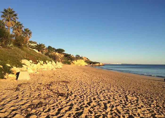 Bicos T By Check-in Portugal Appartement