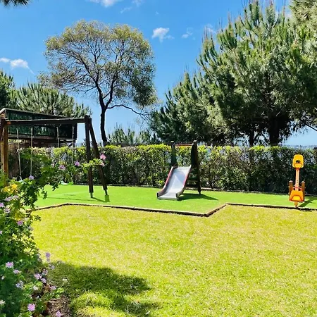 Bicos T By Check-in Portugal